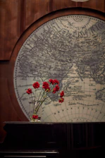 Map highlighting Aroma Orchid’s export reach spanning Egypt, the Middle East, Europe, and North America.