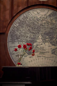 Map highlighting Aroma Orchid’s export reach spanning Egypt, the Middle East, Europe, and North America.