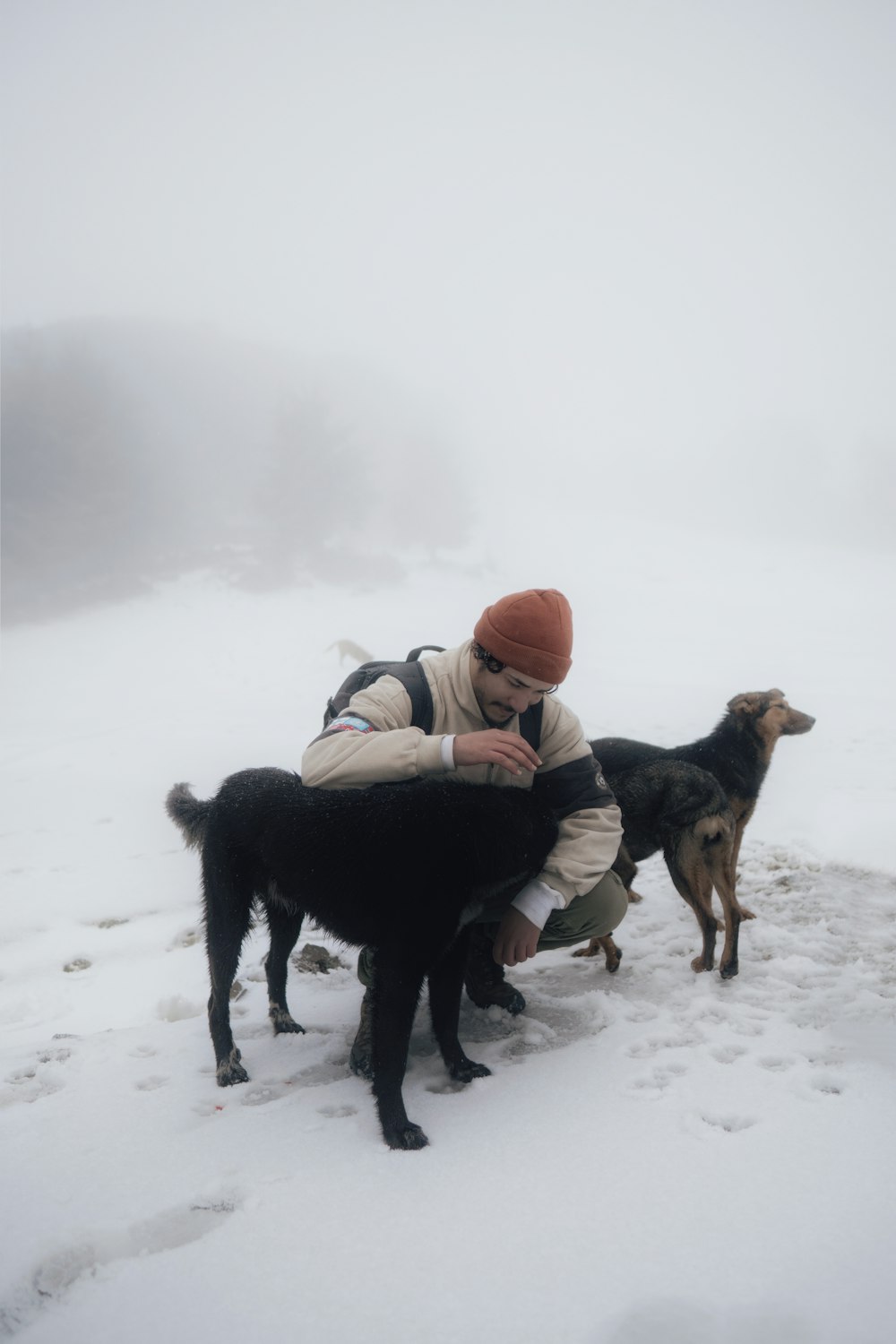 a man kneeling down next to two dogs in the snow