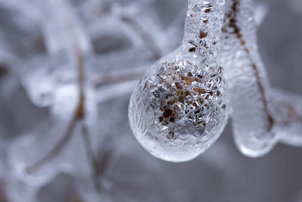 Una goccia di ghiaccio appesa a un ramo di un albero