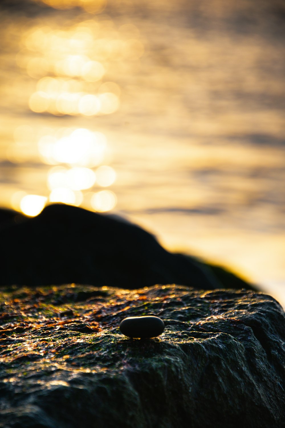 a close up of a rock near the water