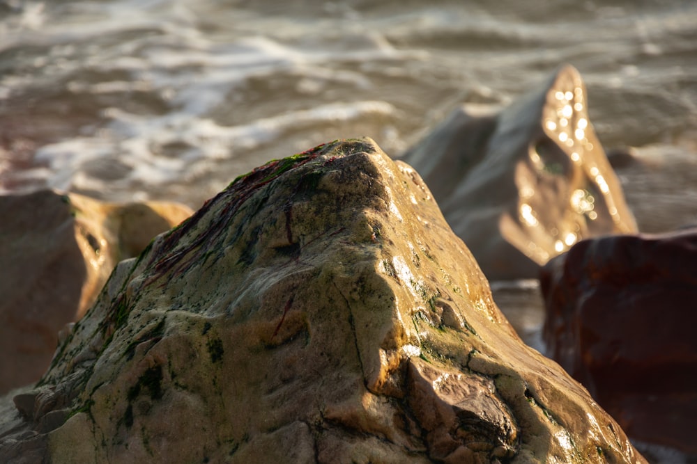 a close up of a rock near the ocean