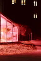 A greenhouse covered with translucent plastic sheeting, glowing warmly in the afternoon light.
