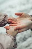 A close-up of two hands, one larger and one smaller, gently holding each other. The setting seems gentle and caring, highlighting a protective or nurturing relationship. The background is blurred, focusing attention on the hands.