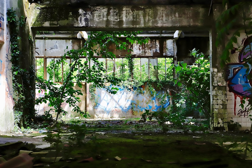 an abandoned building with graffiti on the walls