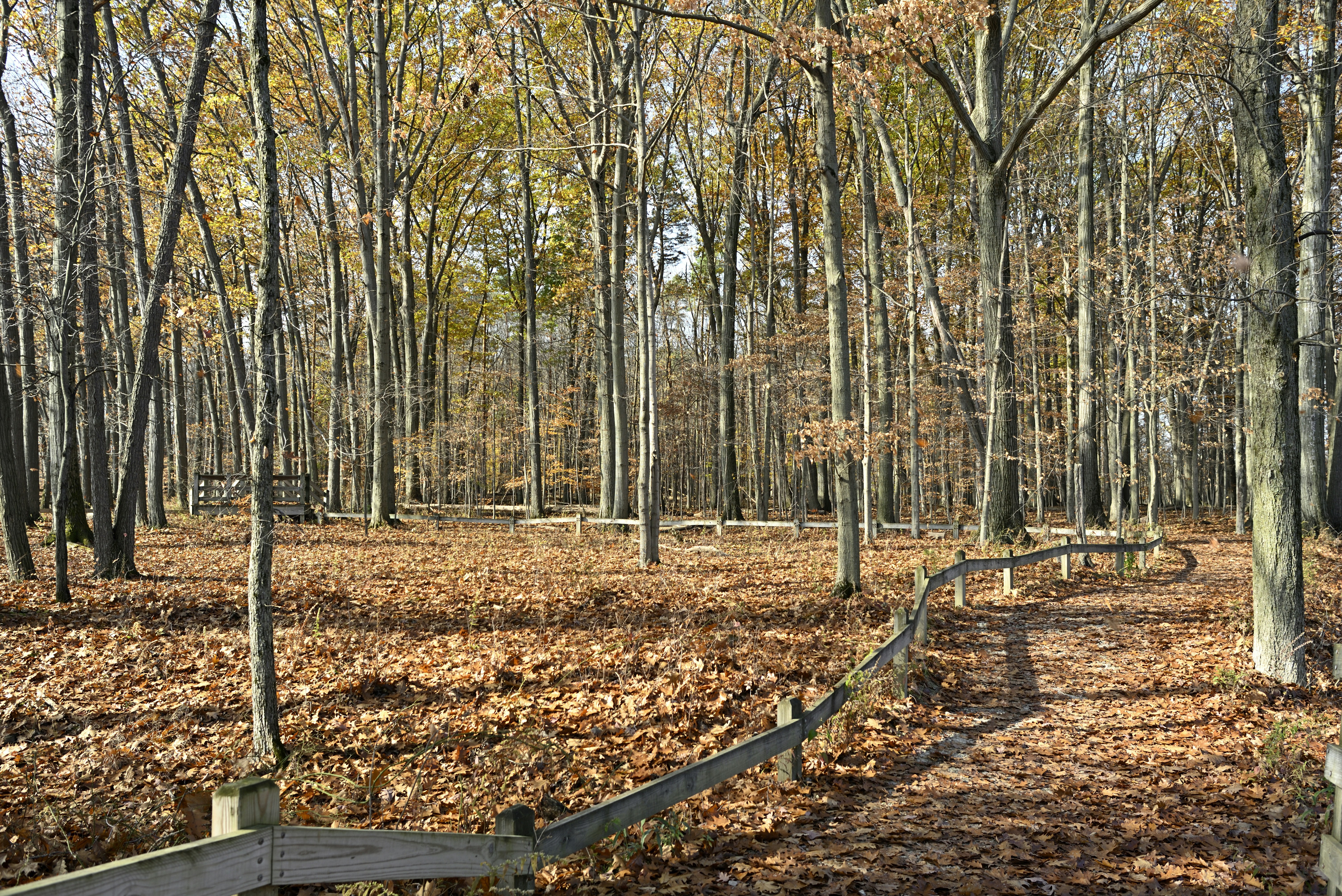 Photo by phillipss32