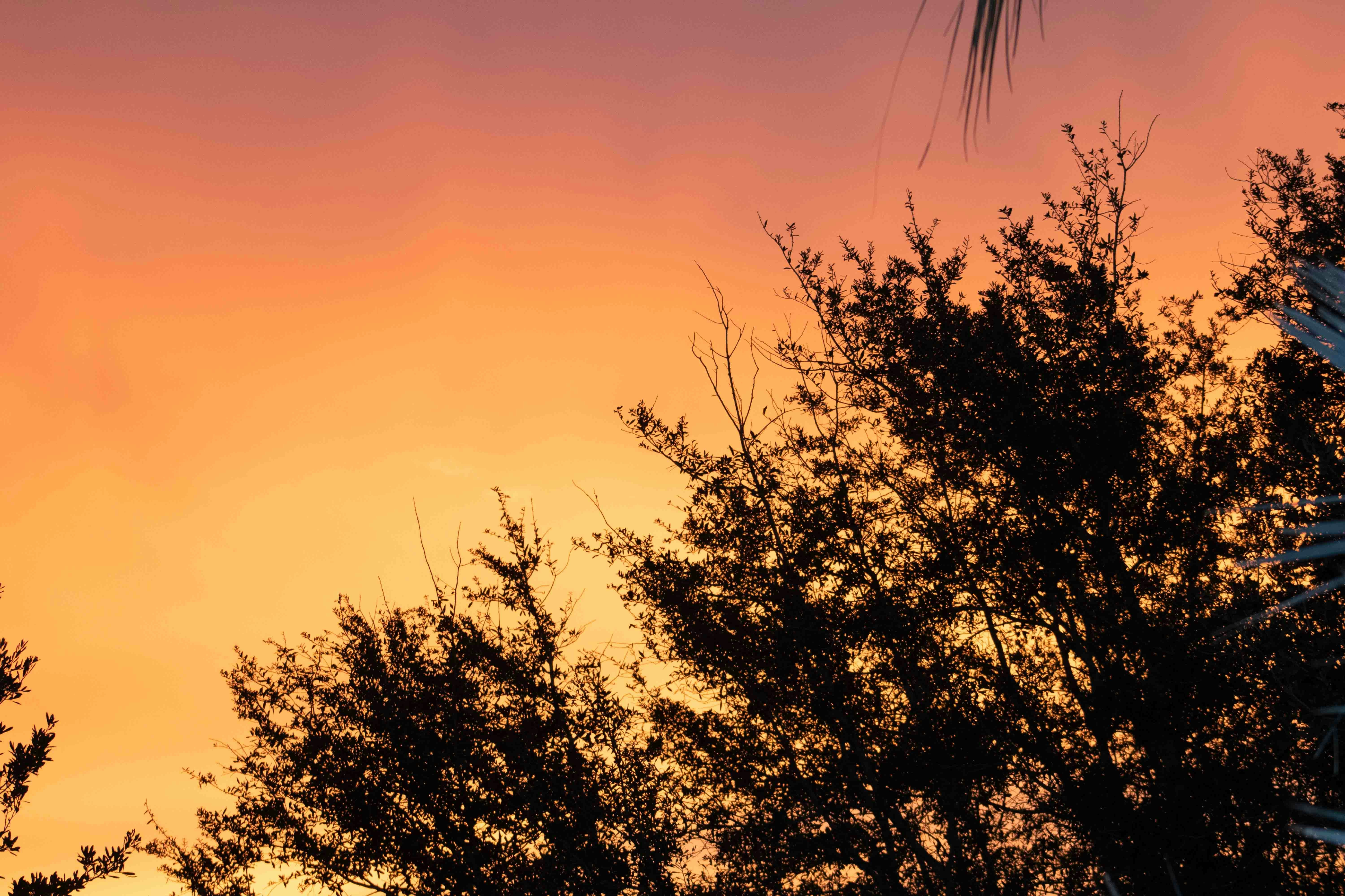 Photo by dpreacherdawn