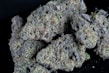 Dense clusters of cannabis buds covered in fine crystal trichomes. Various shades of green, purple, and orange can be seen amidst the intricate textures of the buds. The black background accentuates the detailed and vibrant appearance of the plants.