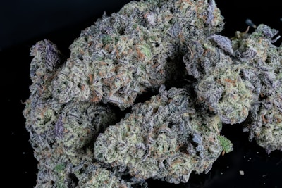 Dense clusters of cannabis buds covered in fine crystal trichomes. Various shades of green, purple, and orange can be seen amidst the intricate textures of the buds. The black background accentuates the detailed and vibrant appearance of the plants.