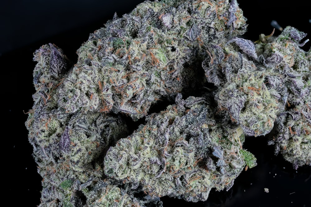 a pile of purple weed sitting on top of a table