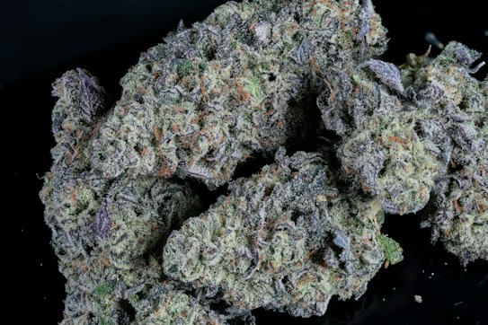 Dense clusters of cannabis buds covered in fine crystal trichomes. Various shades of green, purple, and orange can be seen amidst the intricate textures of the buds. The black background accentuates the detailed and vibrant appearance of the plants.