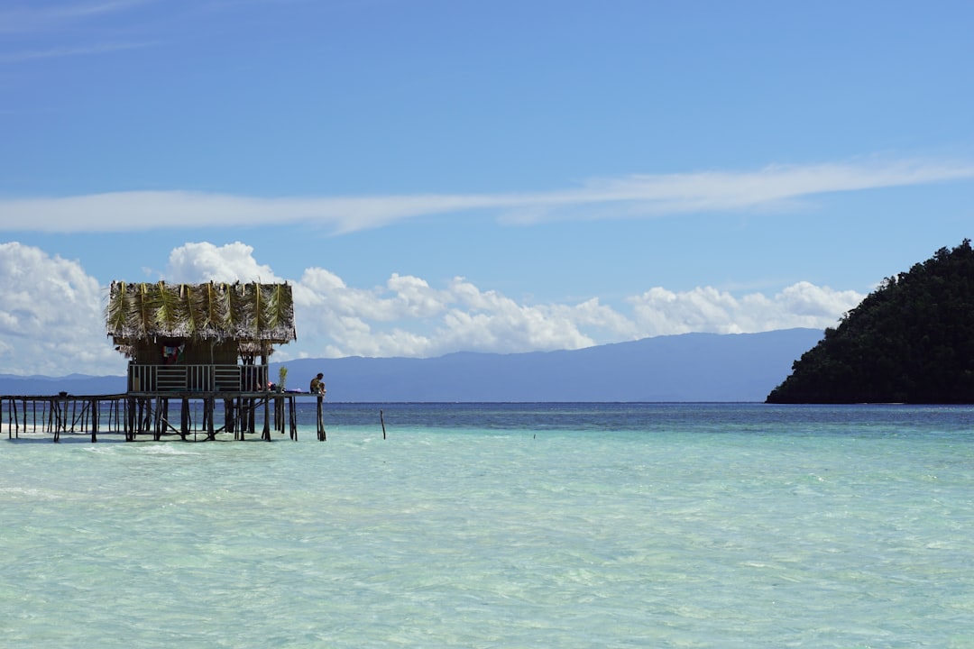a pier on the ocean with a small island in the background, Raja Ampat Indonesia water hut