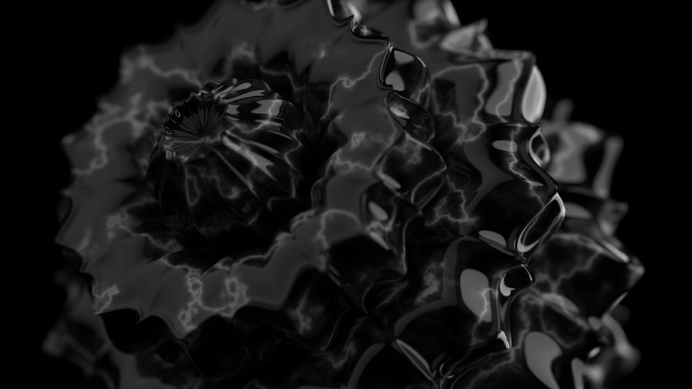 a black and white photo of a flower