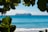 A large white ship with red crosses on its side sails across a vast, calm ocean under a clear blue sky. The scene is framed by green leaves, providing a natural border to the image. The ocean appears vibrant blue, with gentle waves lapping against a sandy beach.