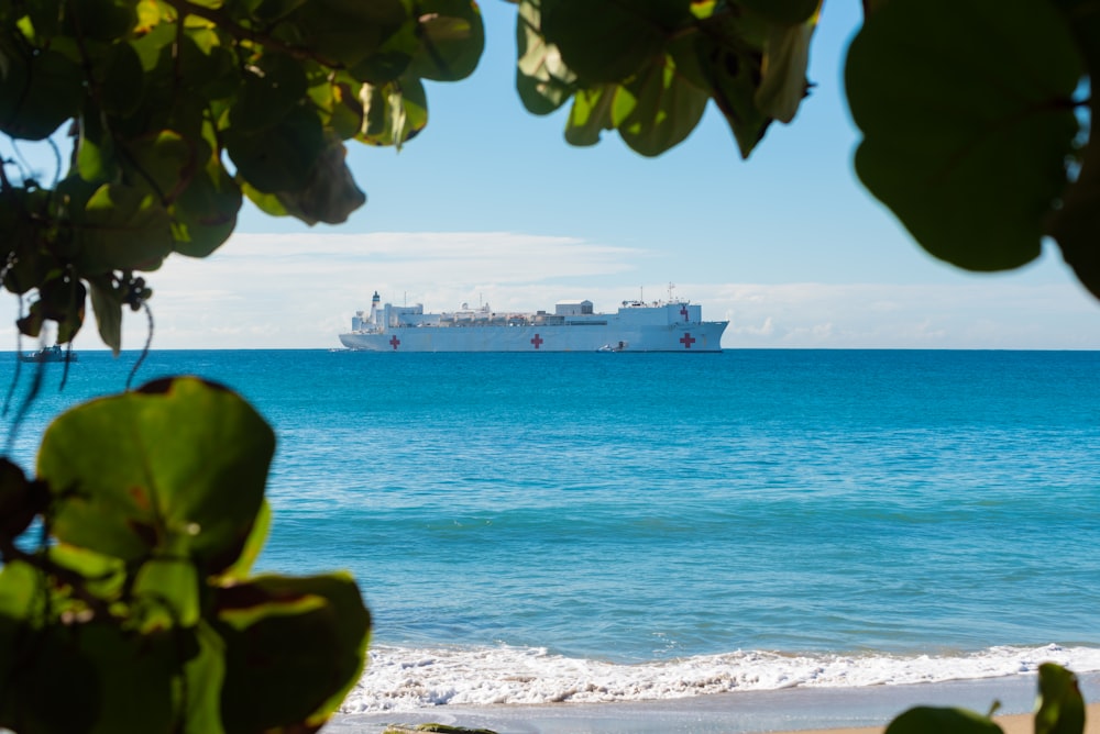 a large ship sailing in the ocean on a sunny day