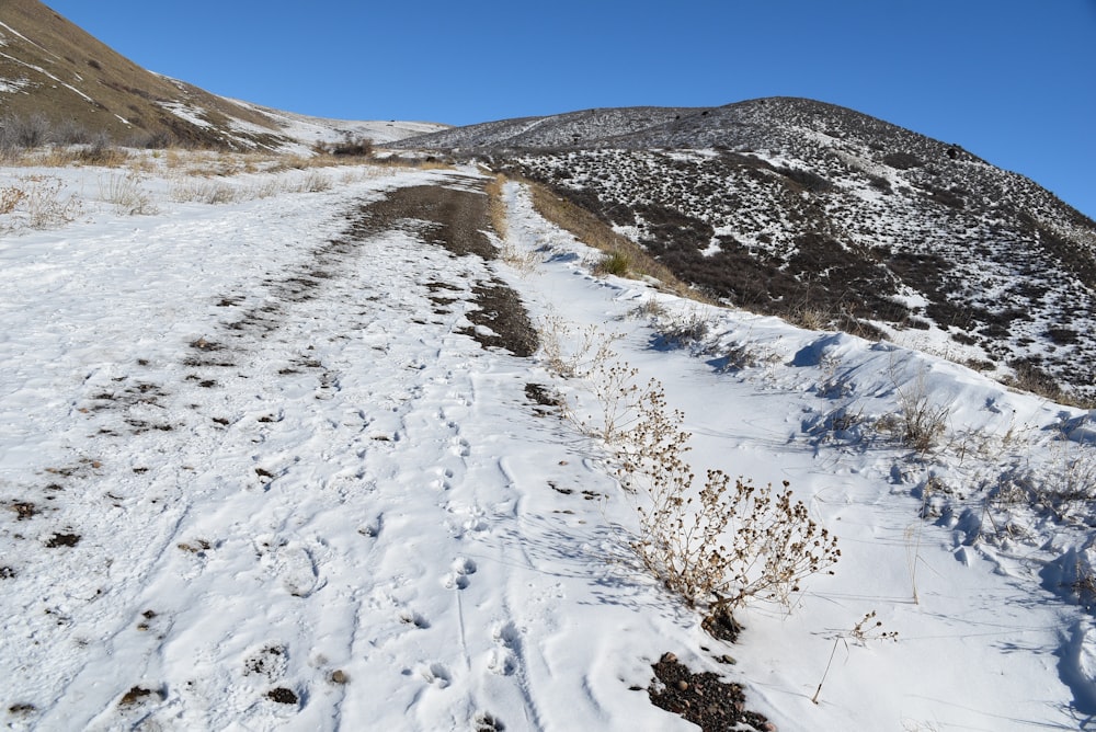 a snow covered mountain with a trail going through it