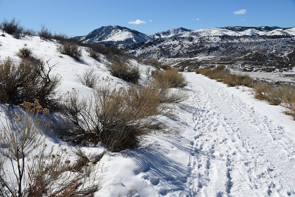 a snow covered path leading to a mountain range