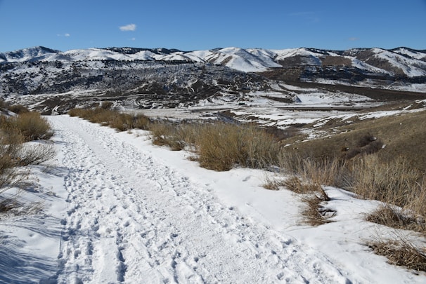 A serene mountain trail winding through snow-capped peaks under a clear blue sky.