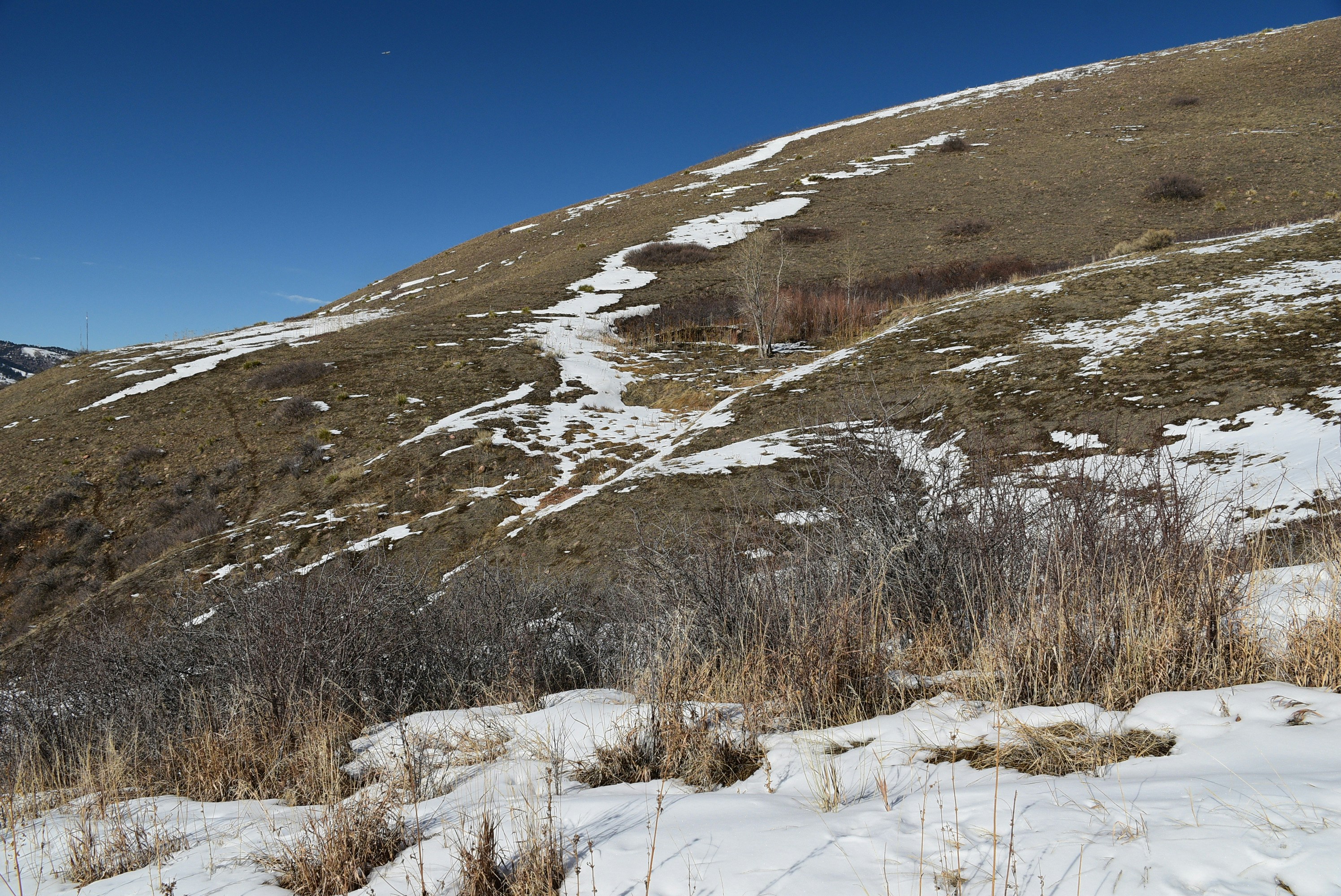 Co-Op Academy Headquarters