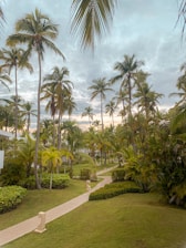 A serene beachside landscape featuring well-maintained gardens and palm trees.