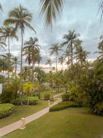 A lush tropical landscape featuring tall palm trees and a well-maintained garden path winding through the greenery. The sky is partially cloudy with hints of sunlight peeking through, suggesting a serene, resort-like atmosphere.
