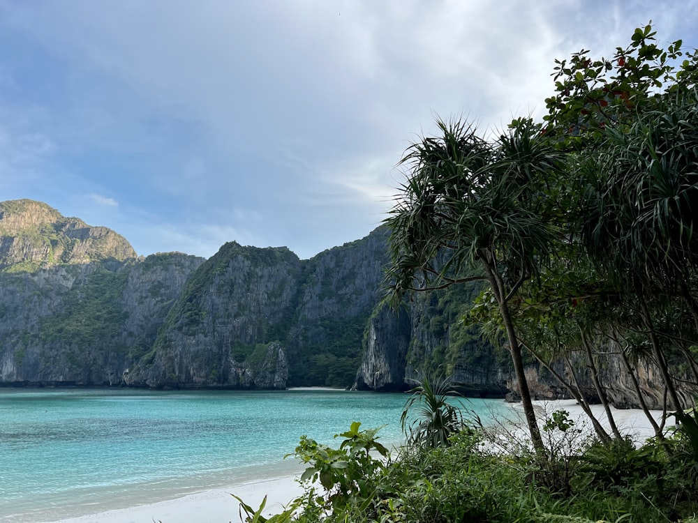 a beach with a mountain in the background