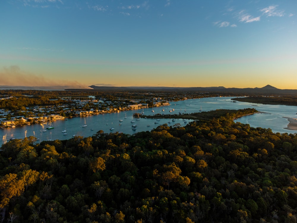 an aerial view of a lake surrounded by trees