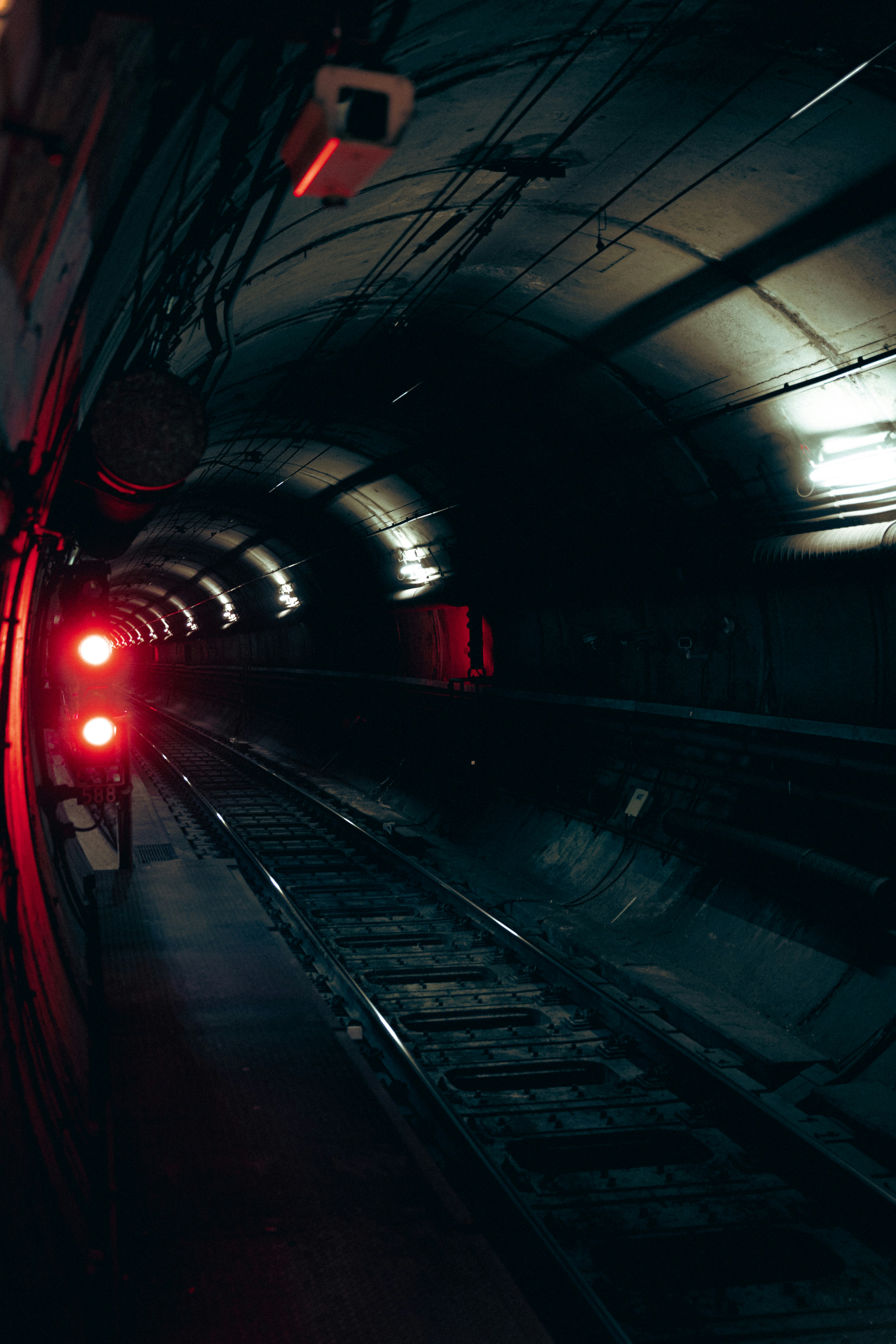 Photo by yigitarisoy