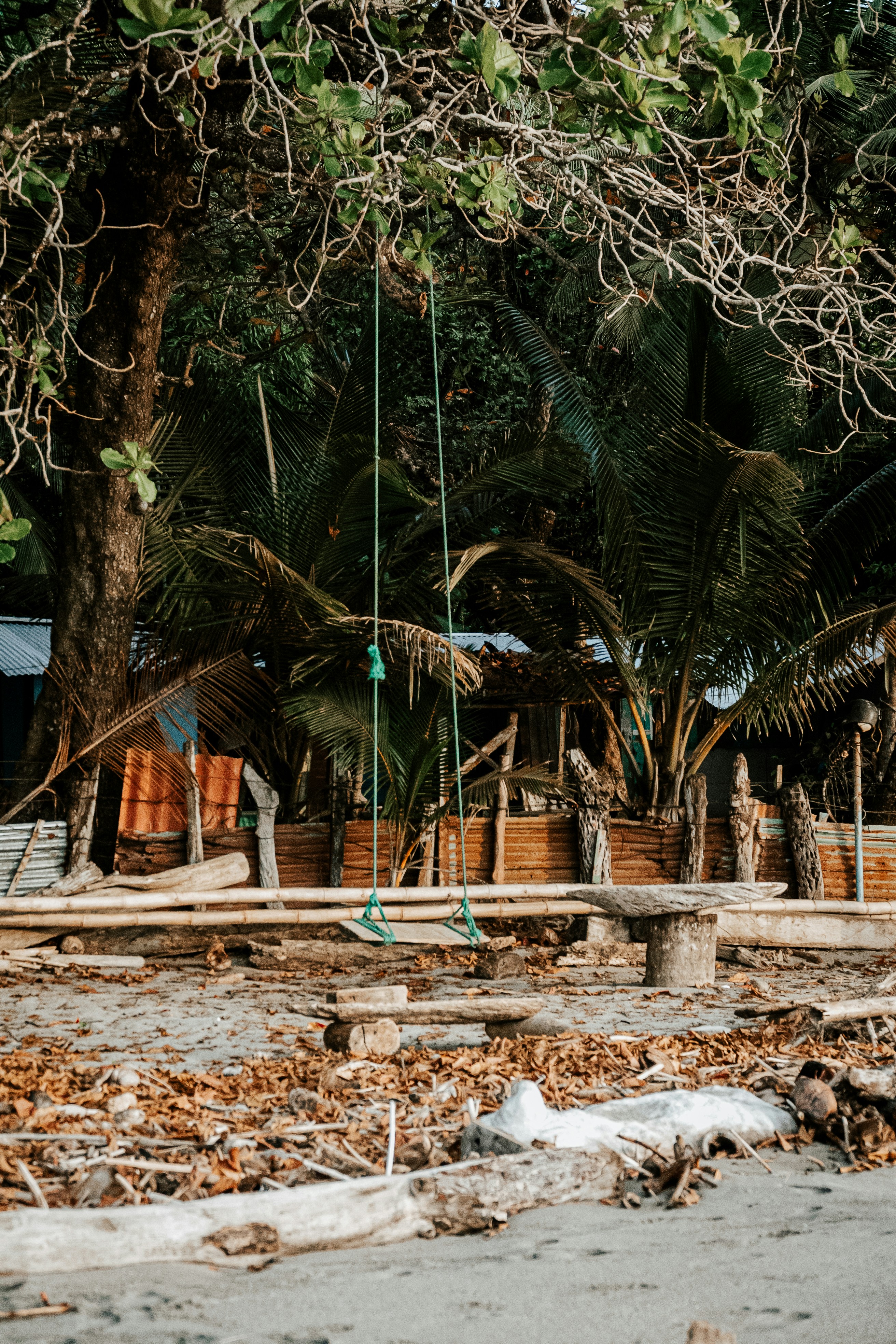 Photo by framesforyourheart