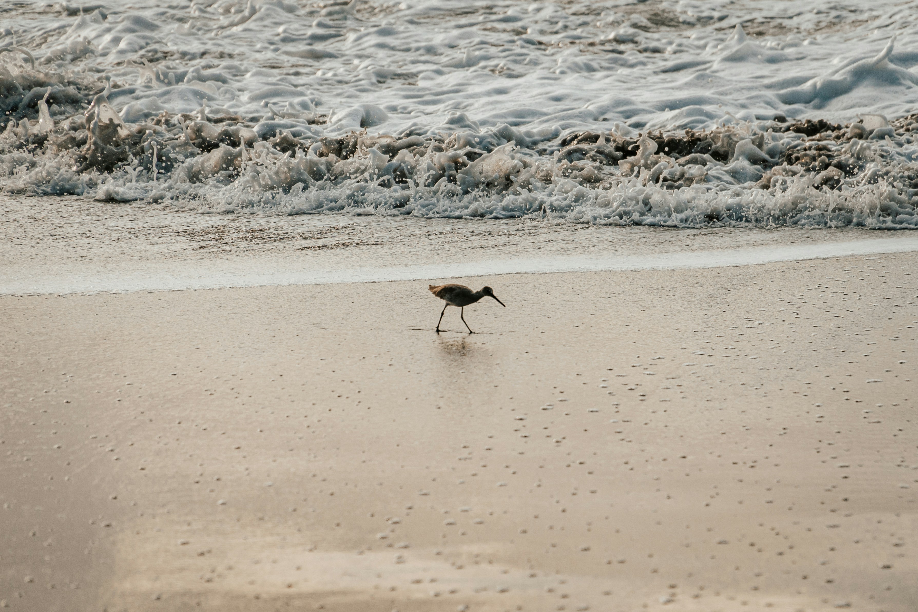 Photo by framesforyourheart