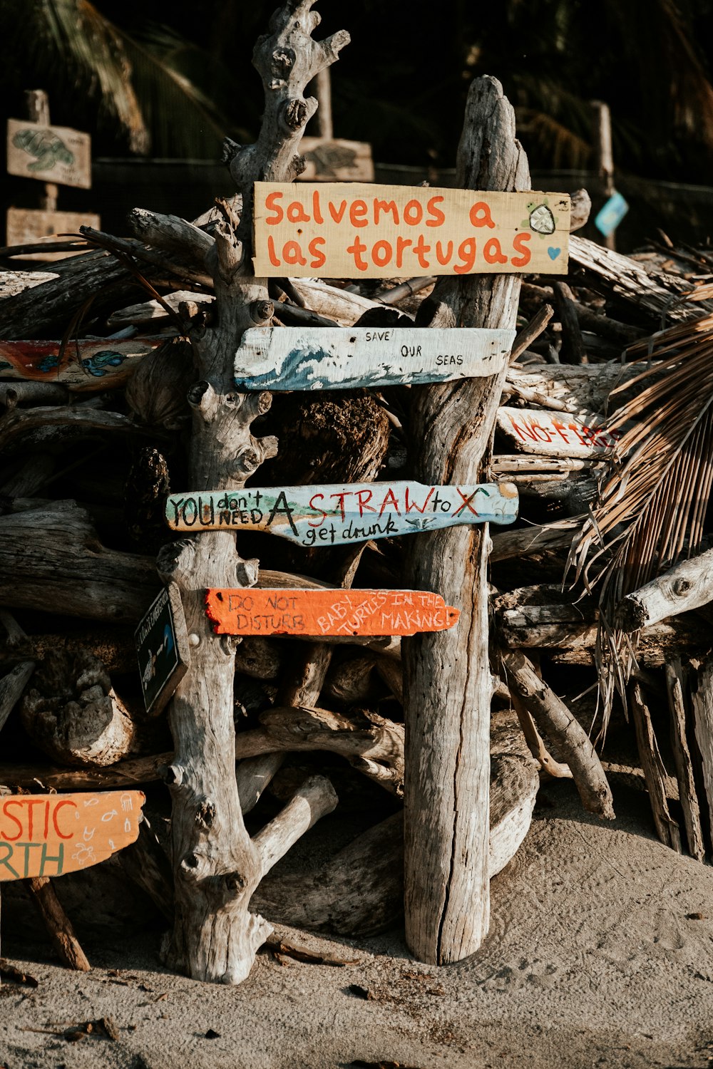 a bunch of wooden signs on a beach