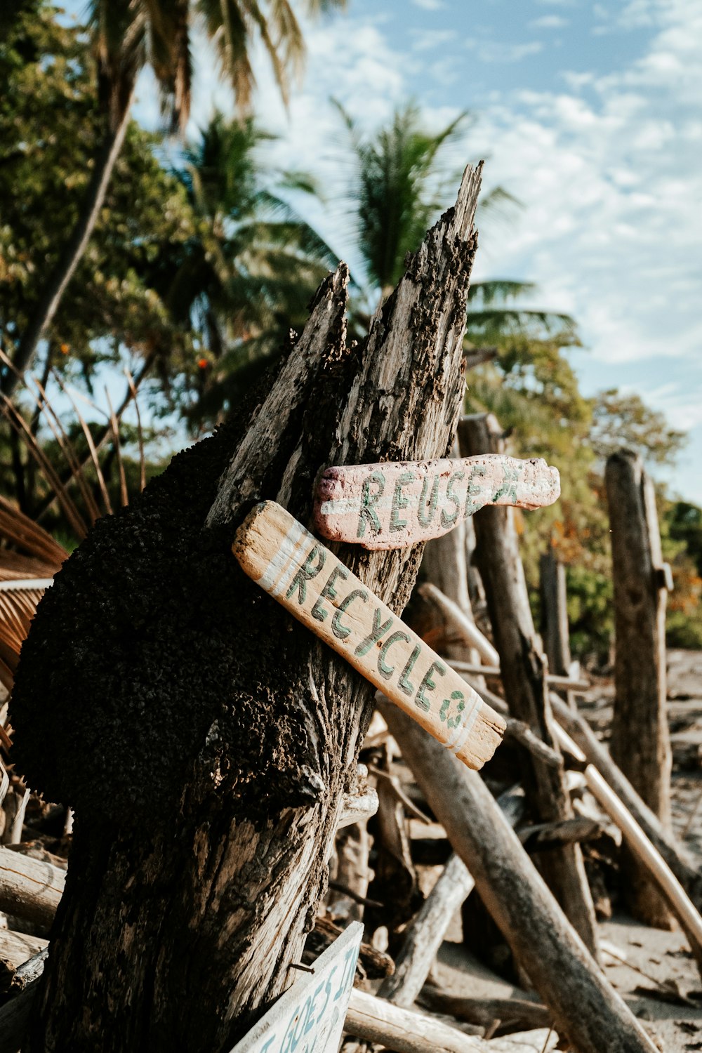 a couple of wooden signs sitting on top of a tree