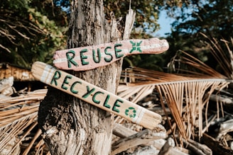 a close up of a sign on a tree