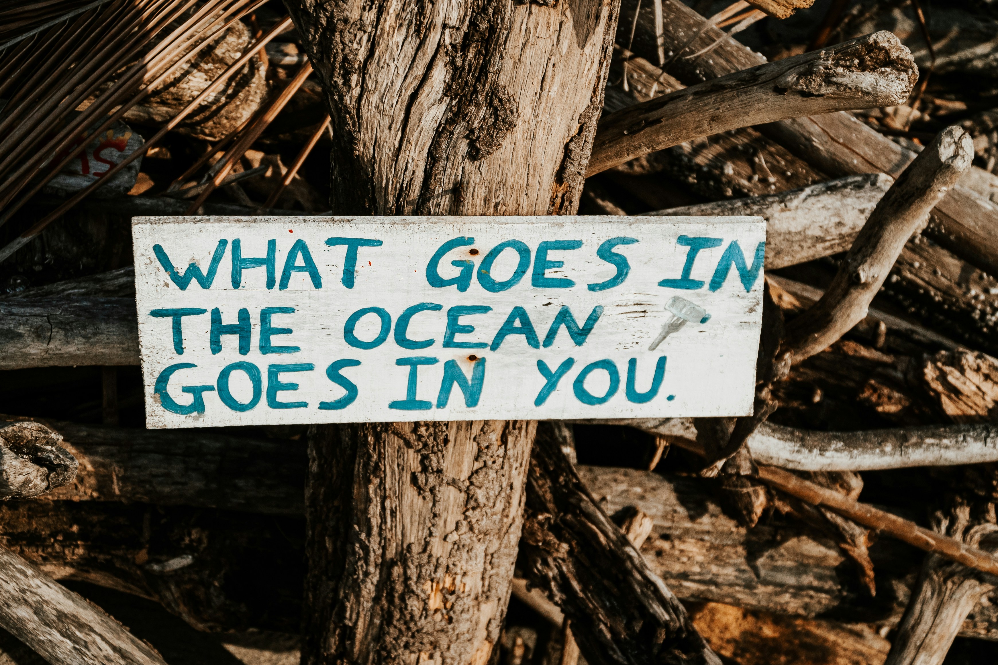 Frank Ocean Quotes That Cut Deep — Words to Live By