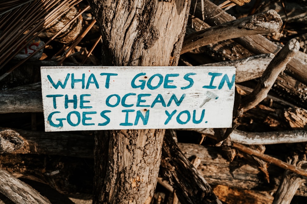 a sign that says what goes in the ocean goes in you