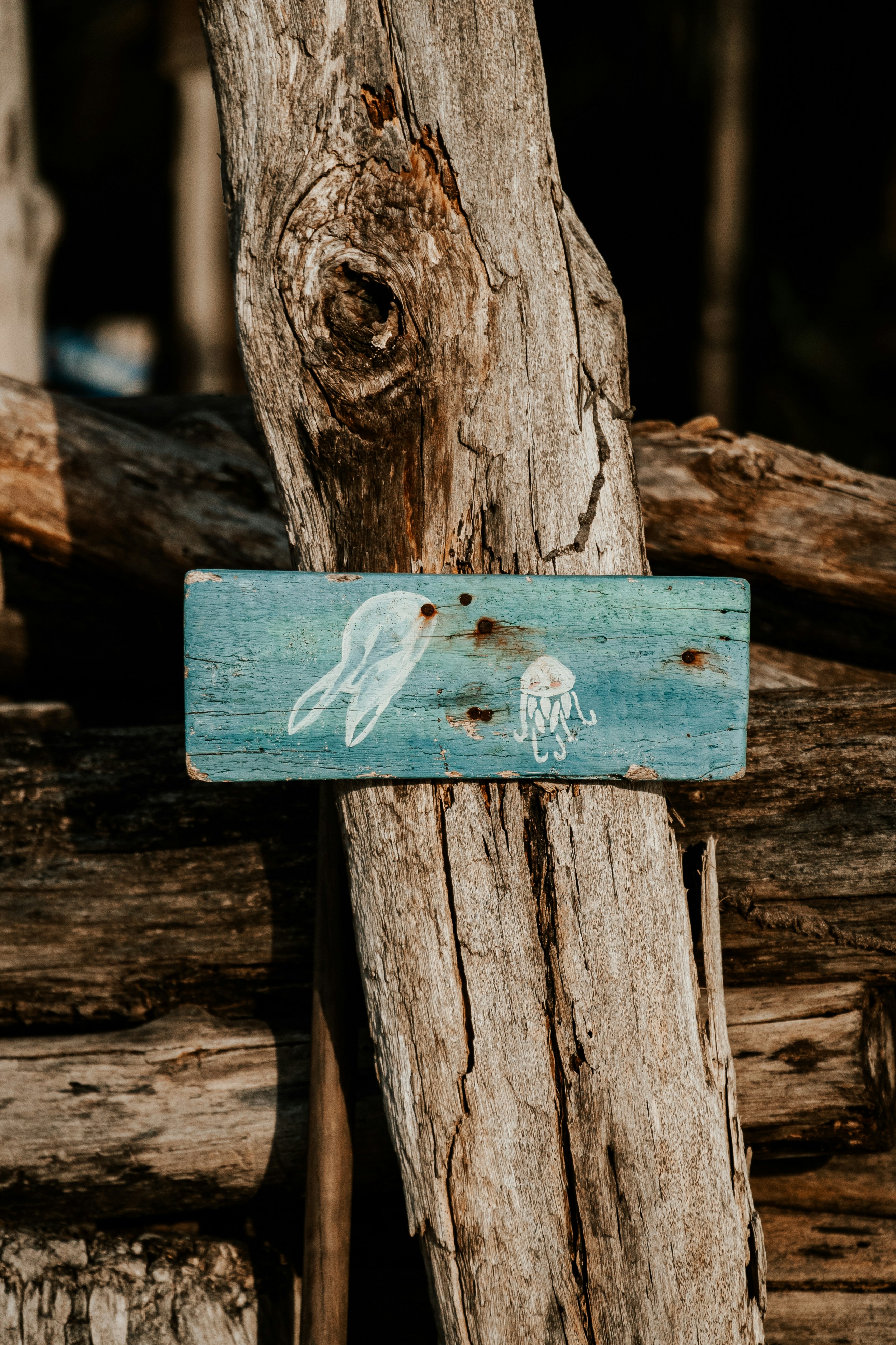 ein Holzschild mit dem Bild eines Vogels darauf