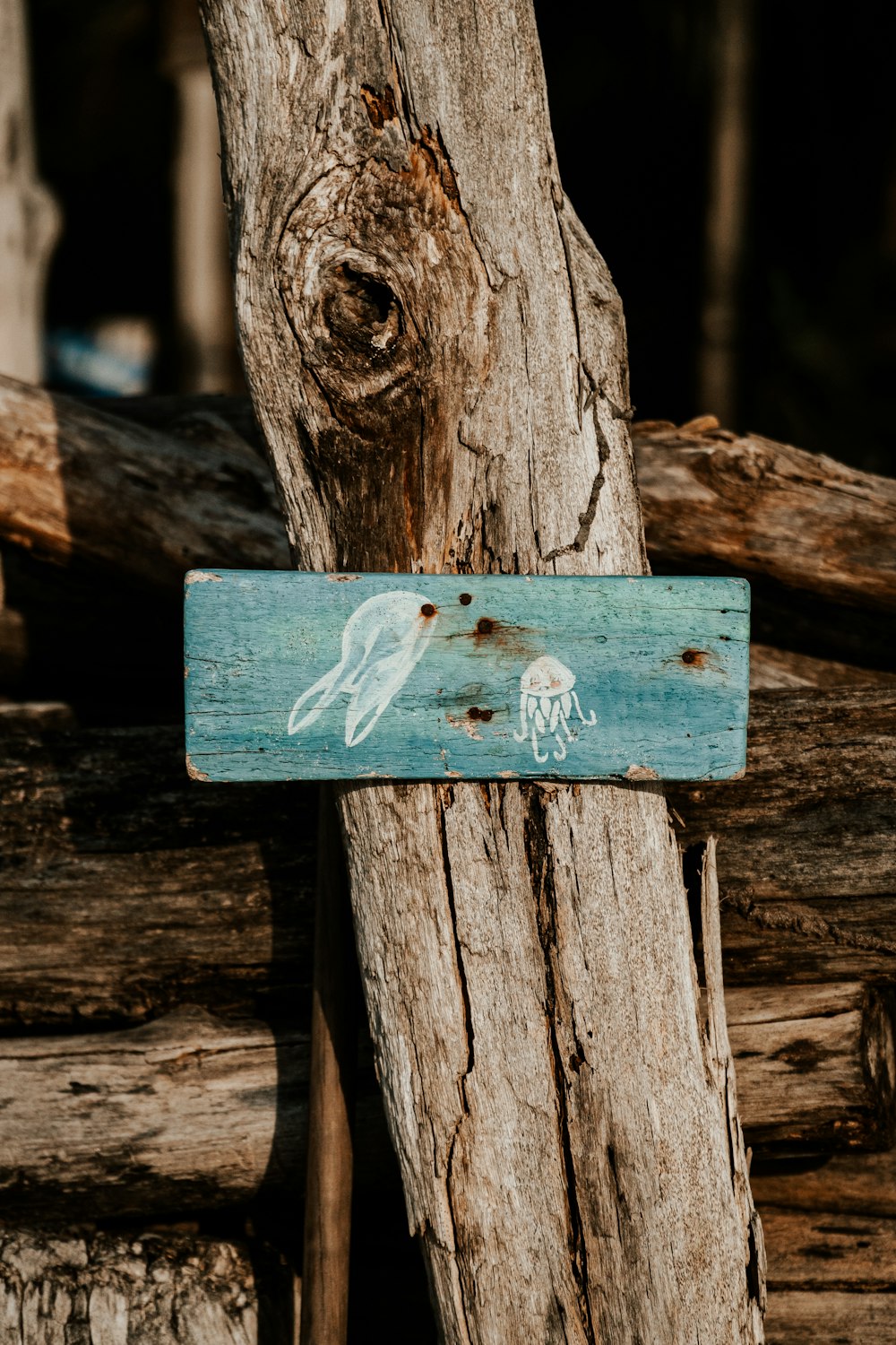 a wooden sign with a picture of a bird on it