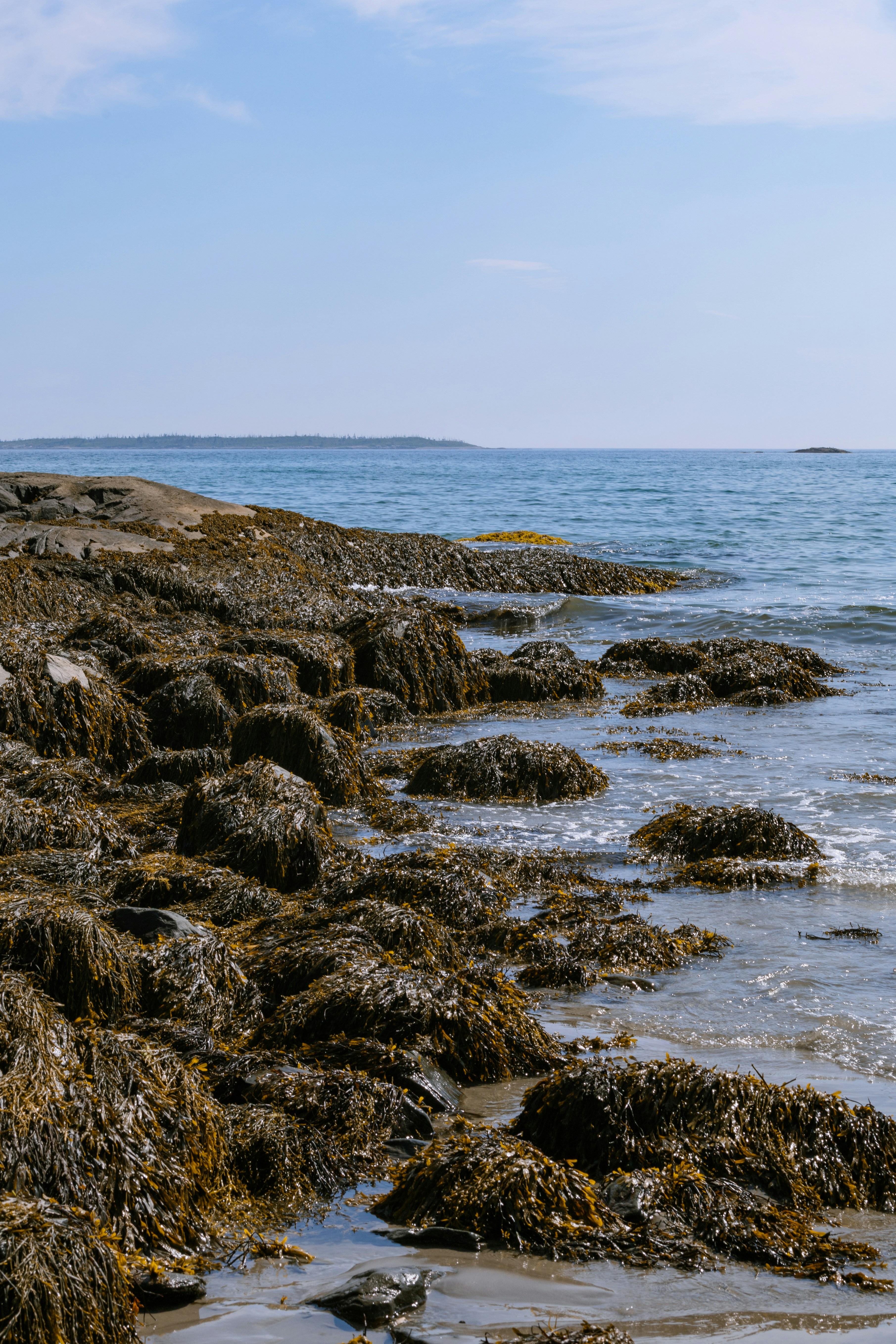 Photo by janwalterluigi