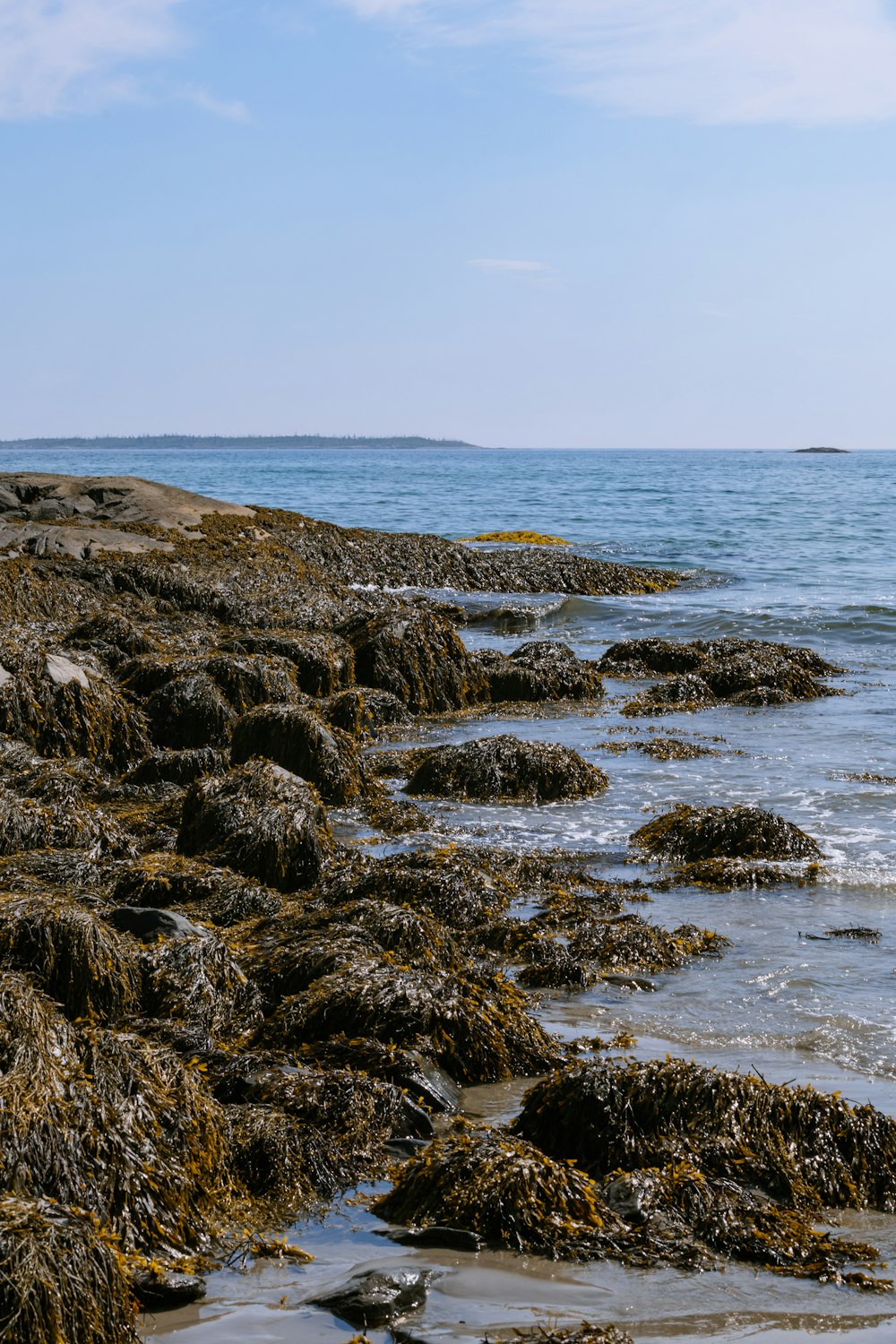 a rocky shore line with a body of water in the distance