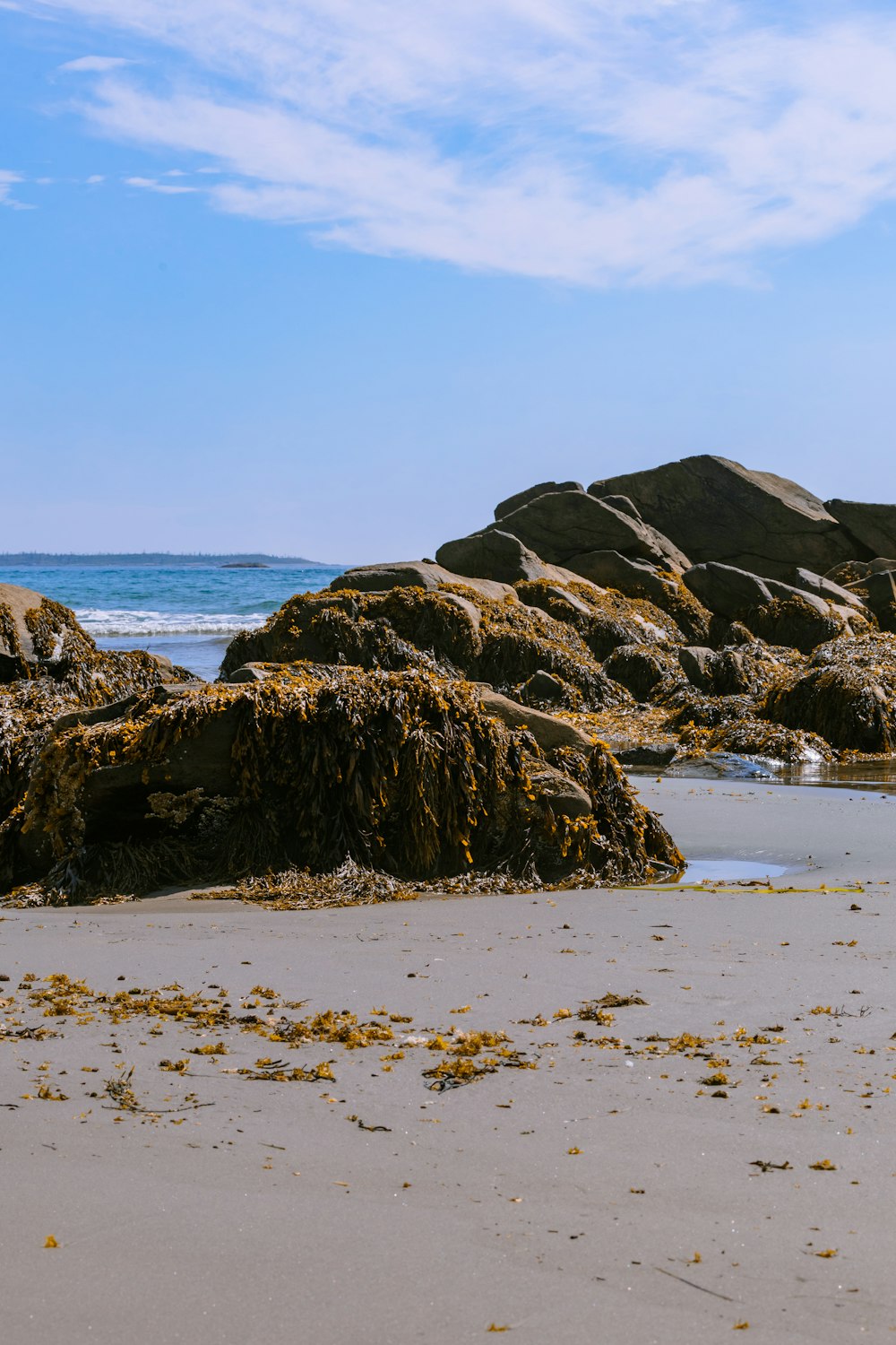 a sandy beach with rocks and seaweed on it