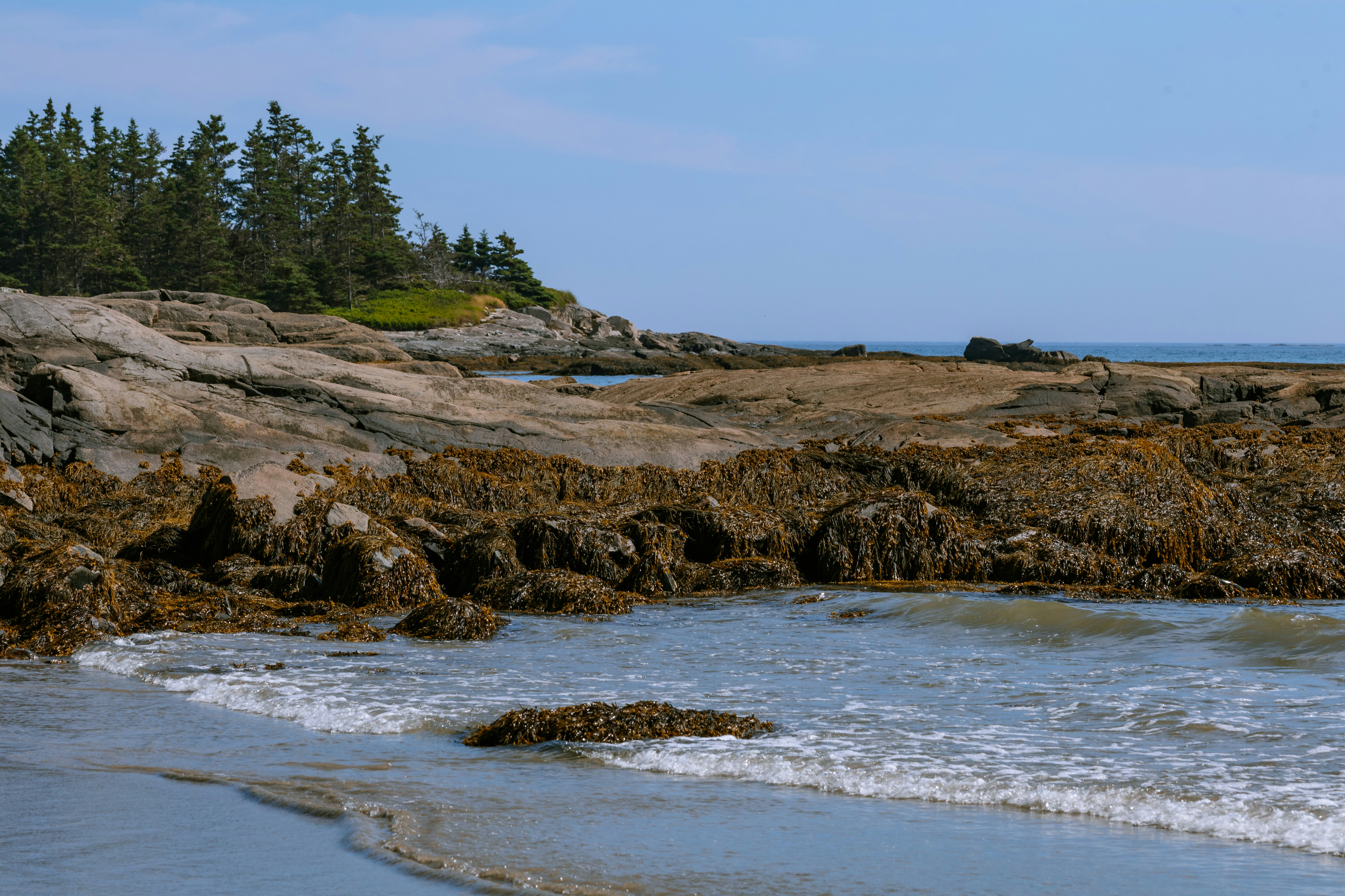 Photo by janwalterluigi