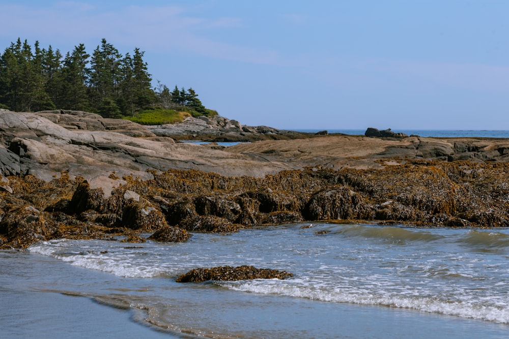 a rocky shore with a small island in the distance