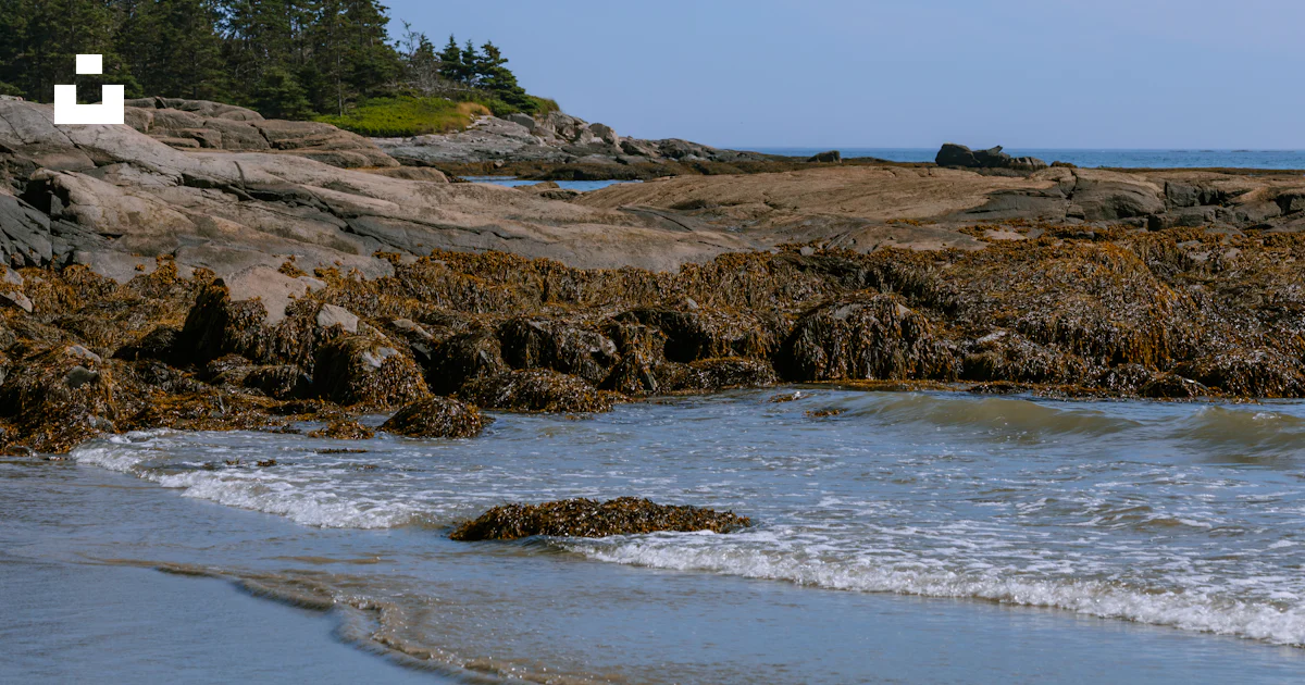 Un rivage rocheux avec une petite île au loin photo – Photo Parc ...