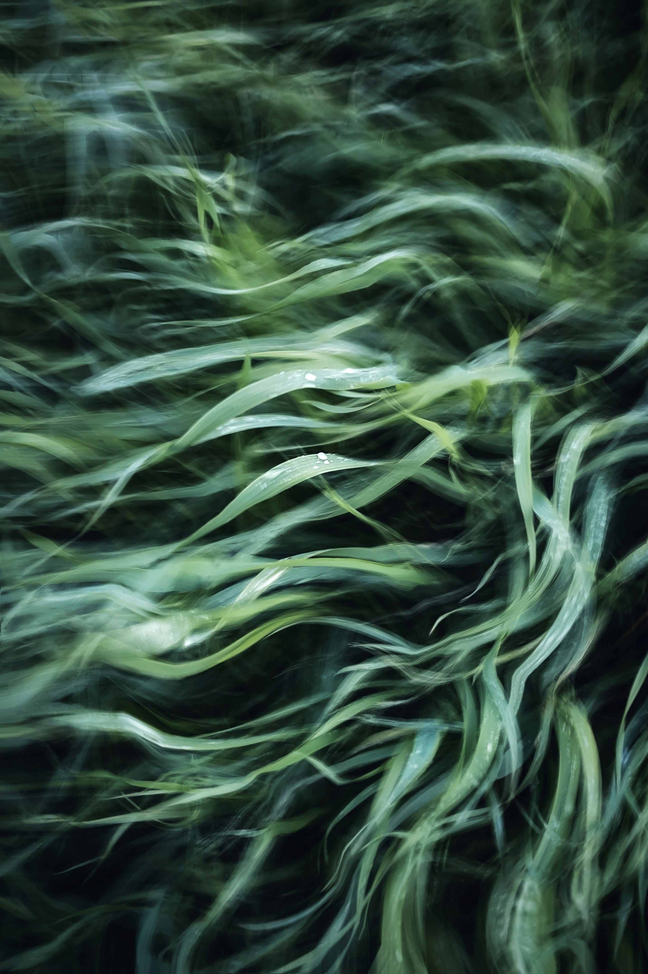 Photo by eugene_golovesov