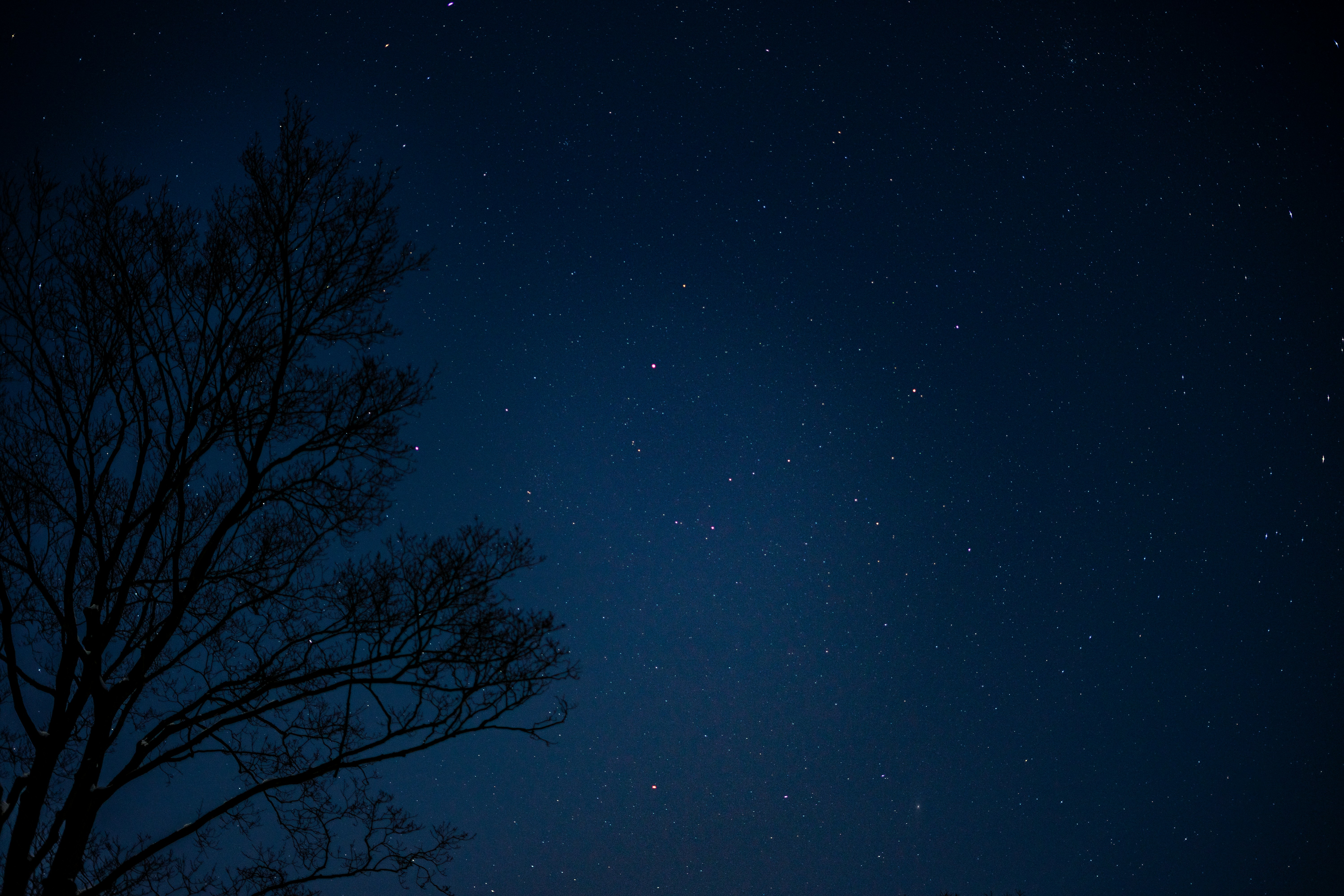 Photo by chris_thornton