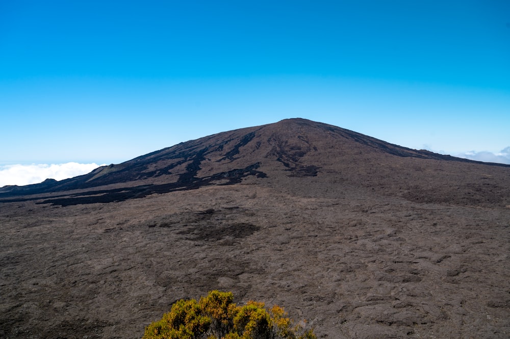 a very tall mountain with a small tree in the foreground