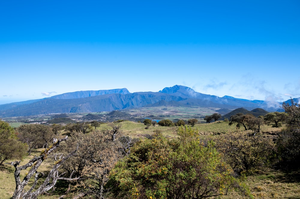 a view of a mountain range from a distance