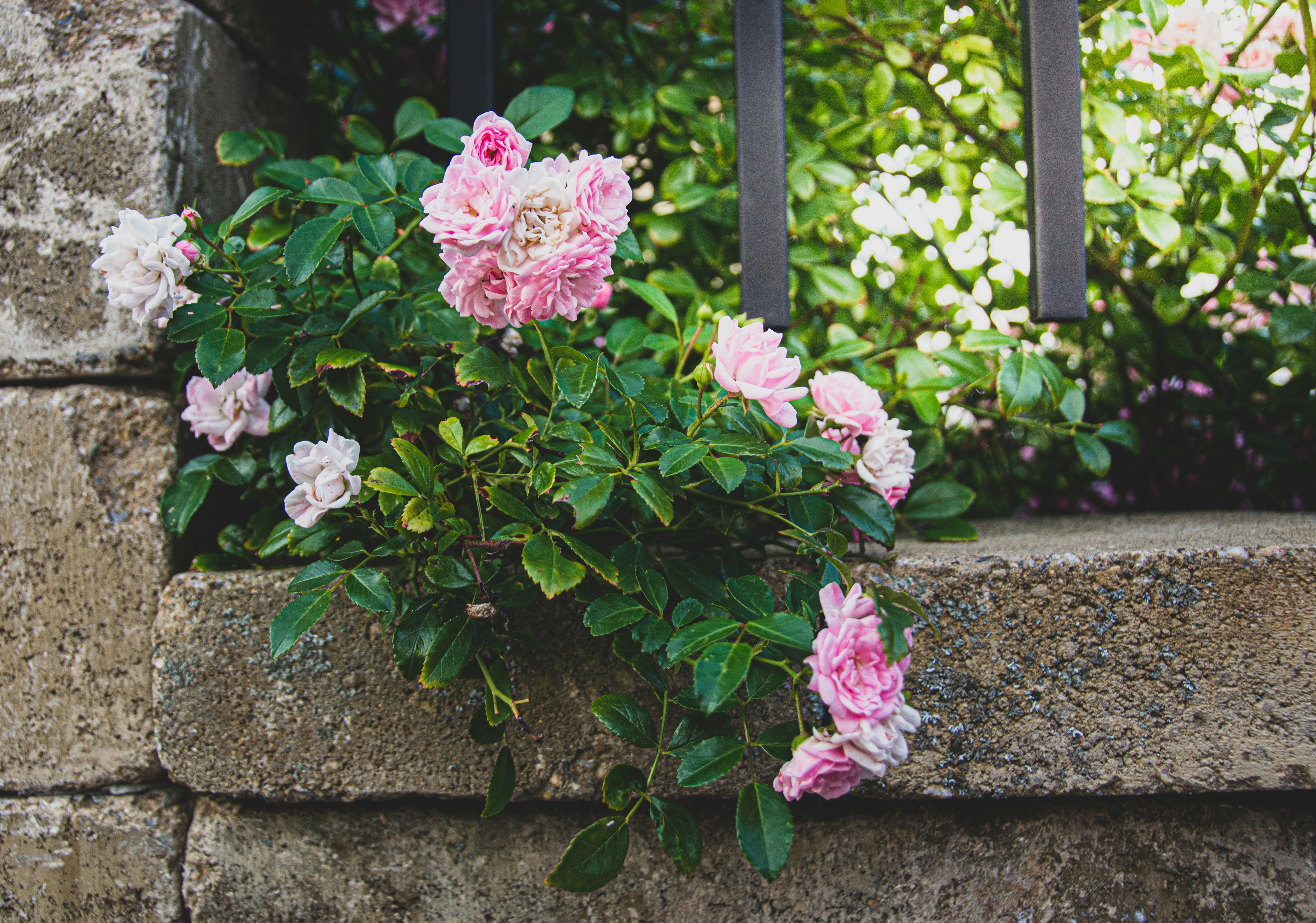 Photo by emotionphotography_by_gabi