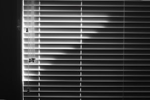 Horizontal blinds cover a window, with light creating a pattern of alternating light and dark stripes. The pull cords hang on the left side, casting small shadows.