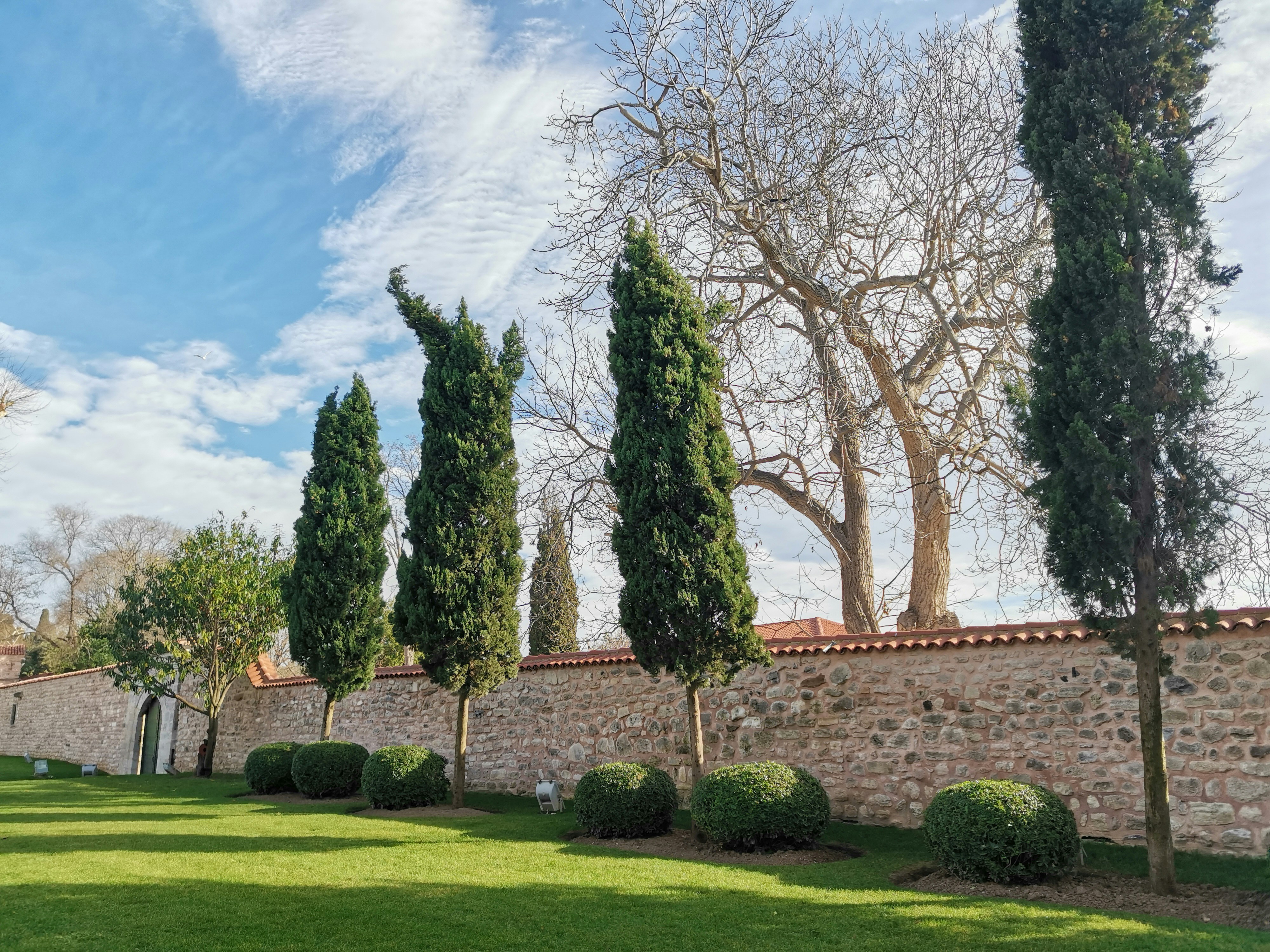 Photo by nataliaraylenegusakova